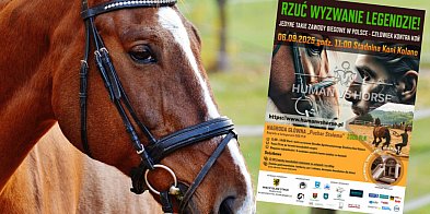 Pierwszy w Polsce bieg Human vs Horse. Już niebawem w Kolanie-71025