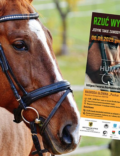 Pierwszy w Polsce bieg Human vs Horse. Już niebawem w Kolanie-71025