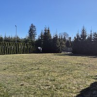 zdjecie ogloszenia