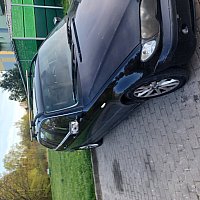 zdjecie ogloszenia