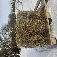 zdjecie ogloszenia