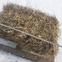 zdjecie ogloszenia