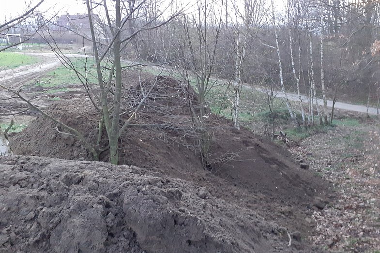zdjecie ogloszenia