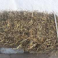 zdjecie ogloszenia