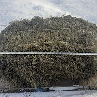zdjecie ogloszenia