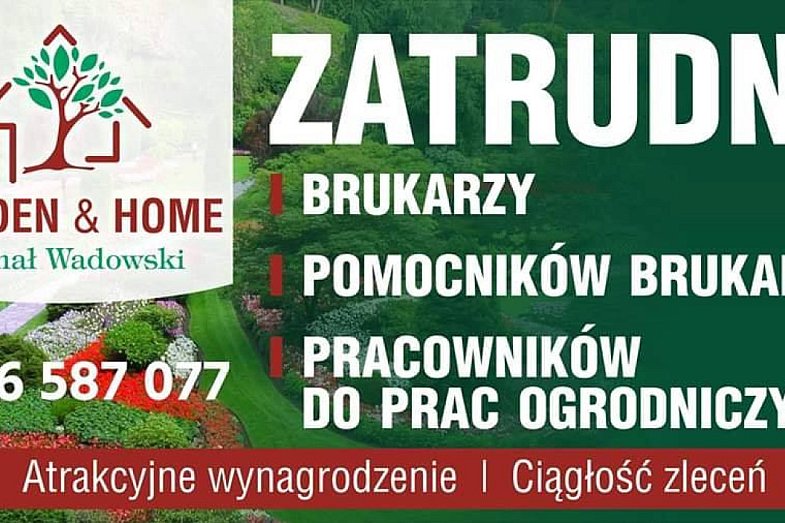 zdjecie ogloszenia