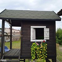 zdjecie ogloszenia