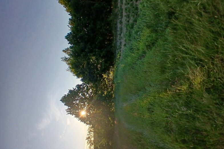 zdjecie ogloszenia