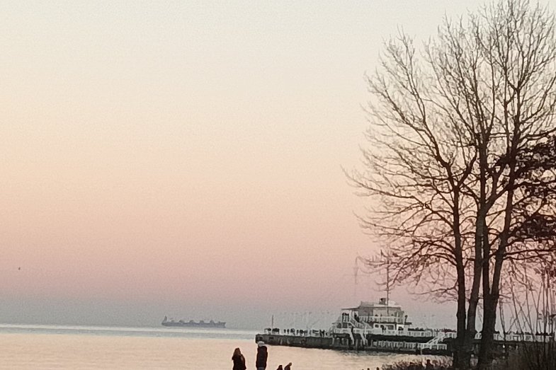 zdjecie ogloszenia
