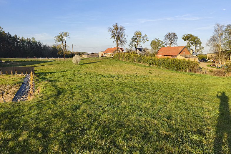 zdjecie ogloszenia