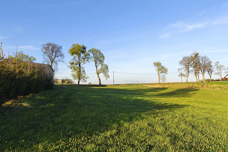 zdjecie ogloszenia