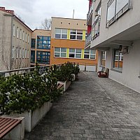 zdjecie ogloszenia