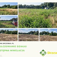 zdjecie ogloszenia