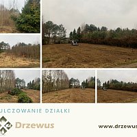 zdjecie ogloszenia