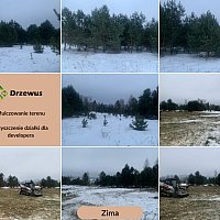 zdjecie ogloszenia