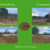zdjecie ogloszenia