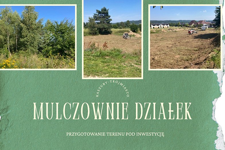 zdjecie ogloszenia