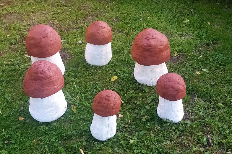 zdjecie ogloszenia