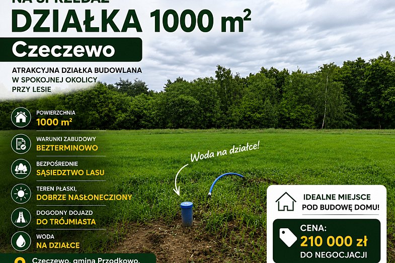 zdjecie ogloszenia