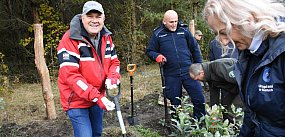 Mirachowo. Posadzili cisy i dęby. To akcja na 80-lecie
