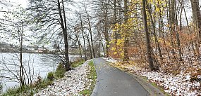 Kartuzy. Będzie wycinka drzew w Gaju Świętopełka