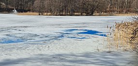 Kartuzy. Nieznana substancja w Jeziorze Klasztornym Mał