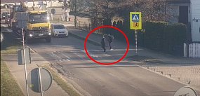 Staniszewo. Skandaliczny manewr kierowcy. Na przejściu