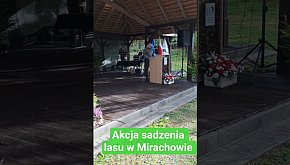 W Mirachowie posadzono nowy las