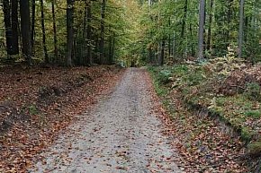 Trasy Nordic Walking w Sulminie-30242