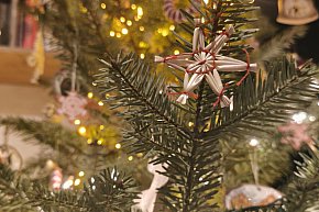 Galeria Waszych choinek 2025-30456