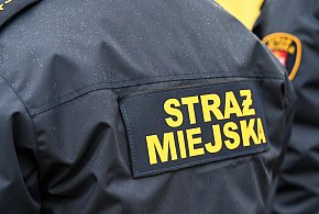 Zapuka strażnik, zapłacisz karę. Ruszyły kontrole w całej Polsce-72558