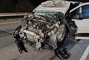 Egiertowo. Tyle zostało z samochodu po zderzeniu z jeleniem-72798