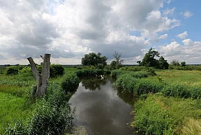 Co dalej z nowym parkiem narodowym? Minister klimatu zdradza plan po wecie-73861