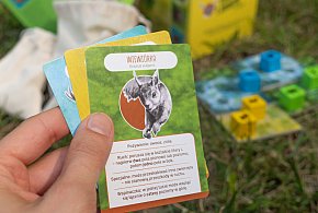 Stado, strategia i empatia: powstała gra, która otwiera oczy na przyrodę-74123