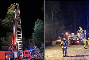 W mroźną noc strażacy z OSP Stężyca ratowali kota, który utknął na drzewie-74325