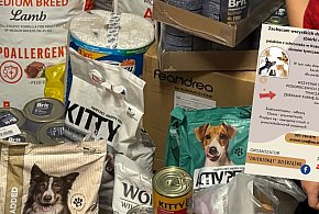 Przodkowo. Kolejna zbiórka dla potrzebujących psów i kotów zakończona sukcesem-74760