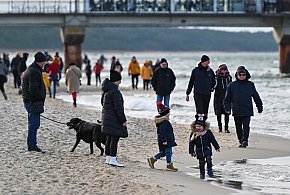 Gminy masowo rezygnują z opłaty za psa. Jaka będzie przyszłość tej daniny?-75233