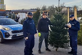 Akcja Choinka. Policjanci kontrolują lasy i punkty sprzedaży drzewek-75315