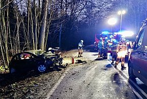 Egiertowo. Mężczyzna poważnie ranny w wypadku-75480