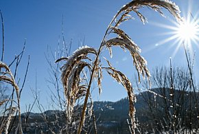W niedzielę zaczyna się astronomiczna zima-75484
