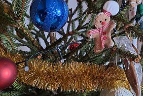 Skąd się wzięła choinka w świątecznej tradycji?-75631