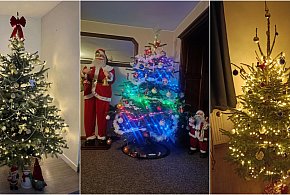 Rośnie nasza wspólna galeria choinek. Są piękne!-75607