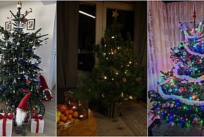 Stworzyliście wspólnie galerię choinek. Dziękujemy za Wasze zdjęcia!-75607
