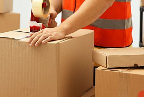 UOKiK: kary dla Zalando i Temu za nieprawidłowe informacje dla klientów-76210