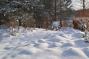 Narzekamy na zimę, ale śnieg to jeden z najlepszych "magazynów wody"-76303