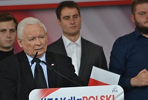 Możliwy sojusz PiS z partią Brauna? Kaczyński: nie ma mowy