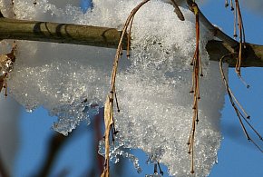 Prognozy wskazują, że czeka nas typowo wiosenna aura