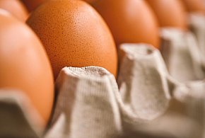 Groźne bakterie w partii jaj. Jest komunikat GIS
