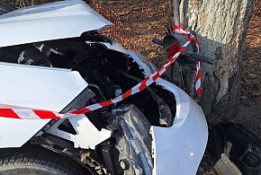 Egiertowo. Osobówka uderzyła w drzewo. Jedna osoba poszkodowana