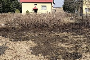 Pałubice. Pożar łąki. Policja przypomina: wypalanie traw jest nielegalne